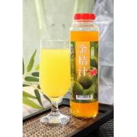 埔里鎮農會(埔里農會) 金桔汁600g*1瓶
