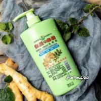 [雲林縣農會]雲林農會 生薑肉桂洗髮精500ml*1瓶~有效期至2026/10月